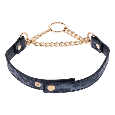 Cougar Day Collar